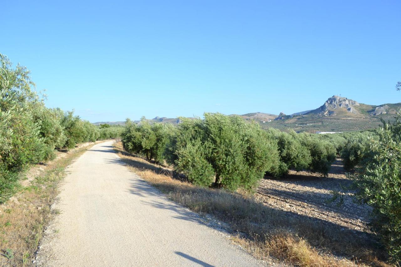 Hostal Nicol'S Ξενοδοχείο Luque Εξωτερικό φωτογραφία