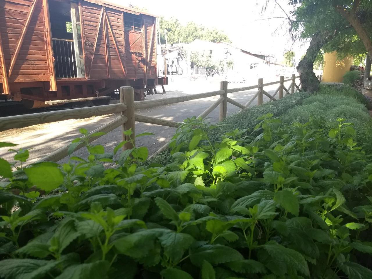 Hostal Nicol'S Ξενοδοχείο Luque Εξωτερικό φωτογραφία